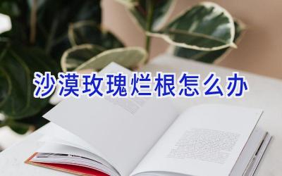 沙漠玫瑰烂根怎么办插图 沙漠玫瑰烂根怎么办插图