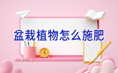 盆栽植物怎么施肥插图 盆栽植物怎么施肥插图
