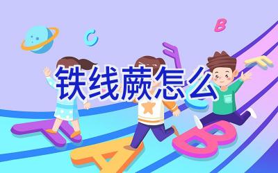 铁线蕨怎么插图