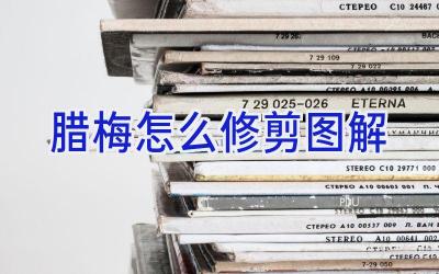 腊梅怎么修剪图解插图 腊梅怎么修剪图解插图