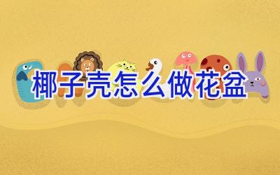 椰子壳怎么做花盆插图