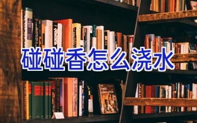 碰碰香怎么浇水插图 碰碰香怎么浇水插图