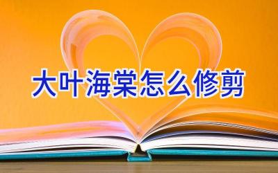 大叶海棠怎么修剪插图