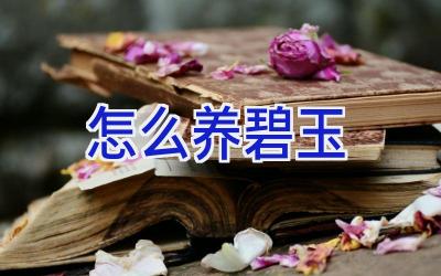 怎么养碧玉插图 怎么养碧玉插图