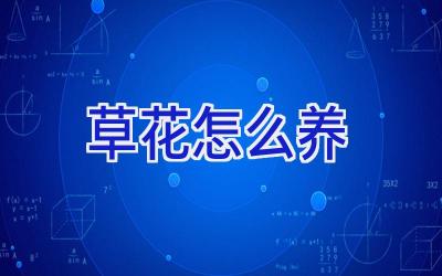 草花怎么养插图 草花怎么养插图