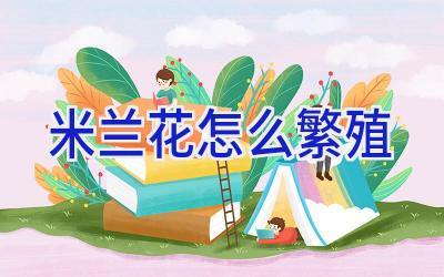 米兰花怎么繁殖插图 米兰花怎么繁殖插图