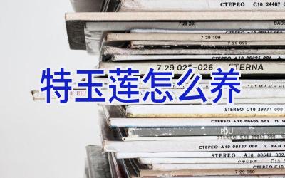 特玉莲怎么养插图 特玉莲怎么养插图