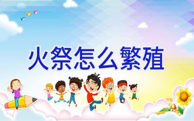 火祭怎么繁殖插图