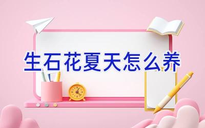 生石花夏天怎么养插图