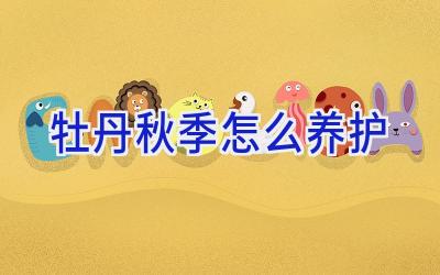 牡丹秋季怎么养护插图 牡丹秋季怎么养护插图