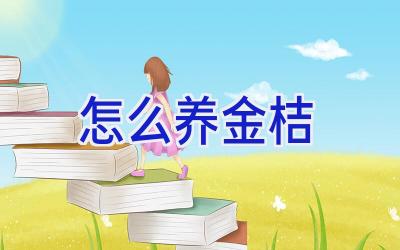 怎么养金桔插图