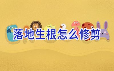 落地生根怎么修剪插图 落地生根怎么修剪插图