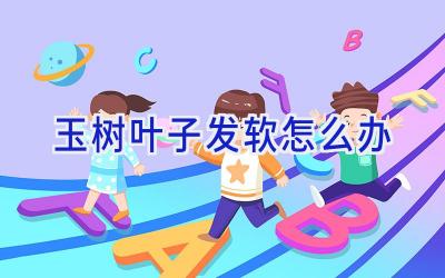 玉树叶子发软怎么办插图 玉树叶子发软怎么办插图