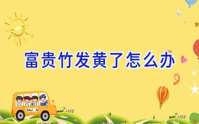 富贵竹发黄了怎么办插图 富贵竹发黄了怎么办插图