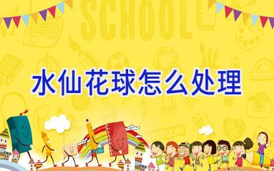 水仙花球怎么处理插图 水仙花球怎么处理插图