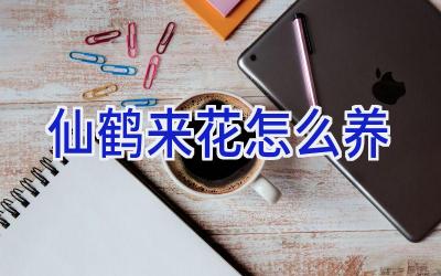 仙鹤来花怎么养插图 仙鹤来花怎么养插图