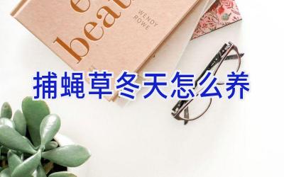 捕蝇草冬天怎么养插图