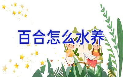 百合怎么水养插图 百合怎么水养插图