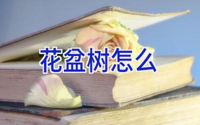 花盆树怎么插图