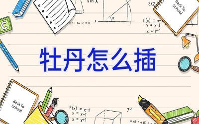 牡丹怎么插插图 牡丹怎么插插图