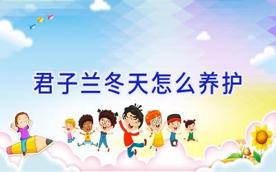 君子兰冬天怎么养护插图 君子兰冬天怎么养护插图