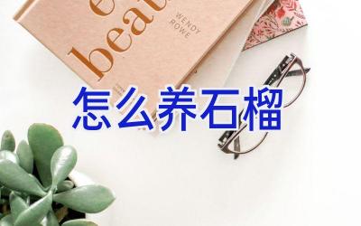 怎么养石榴插图