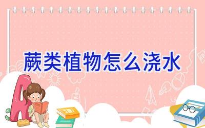 蕨类植物怎么浇水插图 蕨类植物怎么浇水插图