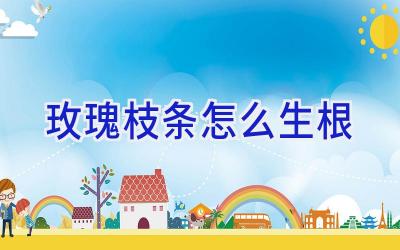 玫瑰枝条怎么生根插图 玫瑰枝条怎么生根插图