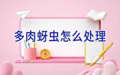 多肉蚜虫怎么处理插图