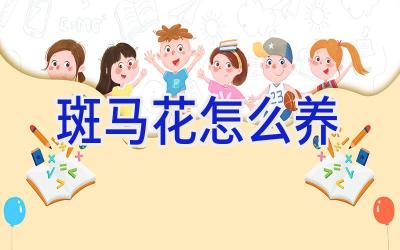 斑马花怎么养插图 斑马花怎么养插图