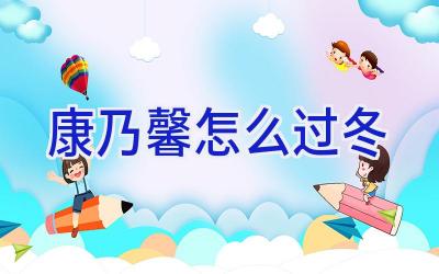 康乃馨怎么过冬插图 康乃馨怎么过冬插图