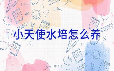 小天使水培怎么养插图 小天使水培怎么养插图