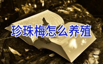 珍珠梅怎么养殖插图 珍珠梅怎么养殖插图