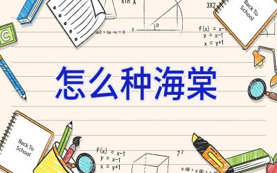 怎么种海棠插图 怎么种海棠插图