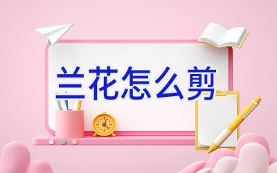 兰花怎么剪插图