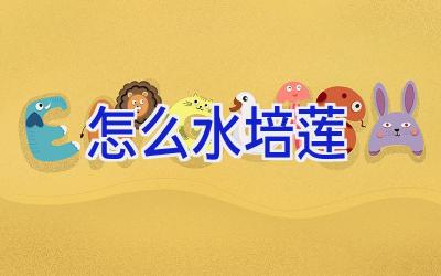 怎么水培莲插图