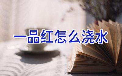 一品红怎么浇水插图 一品红怎么浇水插图