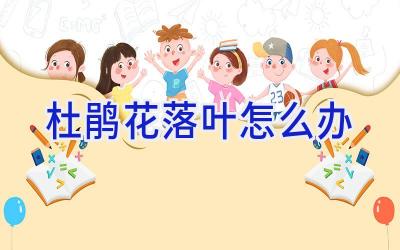 杜鹃花落叶怎么办插图 杜鹃花落叶怎么办插图