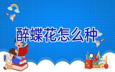 醉蝶花怎么种插图 醉蝶花怎么种插图