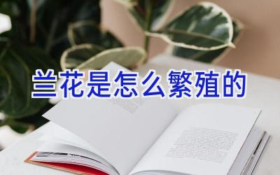 兰花是怎么繁殖的插图