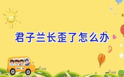 君子兰长歪了怎么办插图