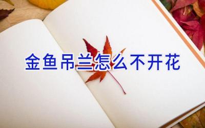 金鱼吊兰怎么不开花插图