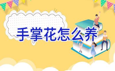 手掌花怎么养插图 手掌花怎么养插图