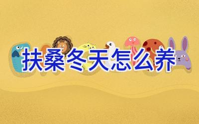 扶桑冬天怎么养插图 扶桑冬天怎么养插图