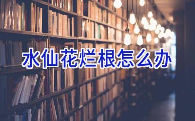 水仙花烂根怎么办插图 水仙花烂根怎么办插图