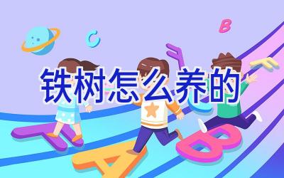 铁树怎么养的插图