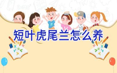 短叶虎尾兰怎么养插图 短叶虎尾兰怎么养插图