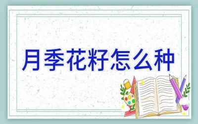 月季花籽怎么种插图 月季花籽怎么种插图