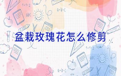 盆栽玫瑰花怎么修剪插图