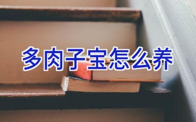 多肉子宝怎么养插图 多肉子宝怎么养插图